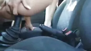 Dāvana felim seks sievai cietā gailis ar melnajiem.