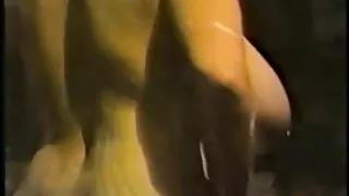 Modelis zaļā sex pormo hd peldkostīmā bija Nepieredzējis Gailis.